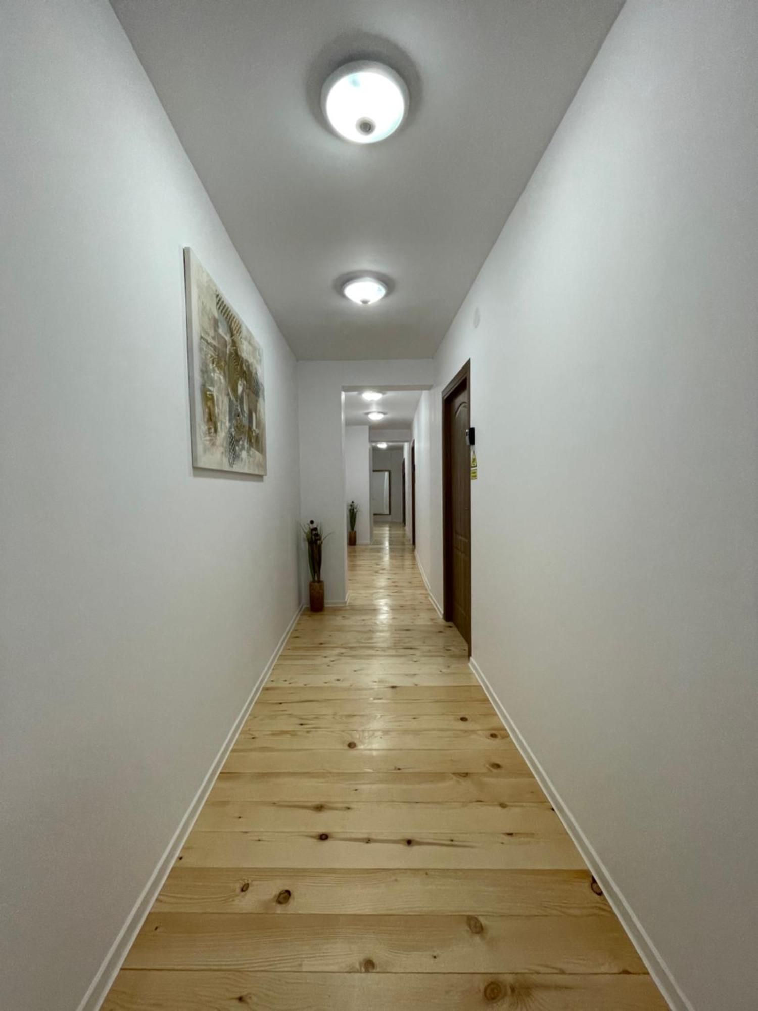 Schei Central Studios In The Heart Of Брашов Экстерьер фото